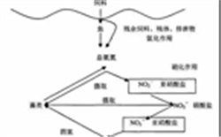 废水中有机氮和氨氮的主要来源 